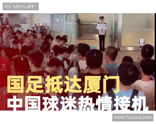 网络直播叙利亚与中国对抗赛精彩回顾及球迷热情互动分析